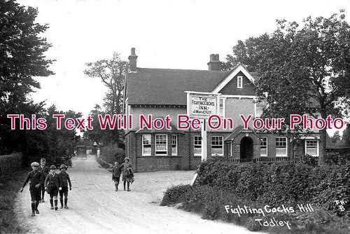2243 fighting cocks hill - -,