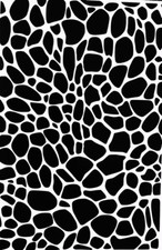 2 x Animal skin print Vinyl