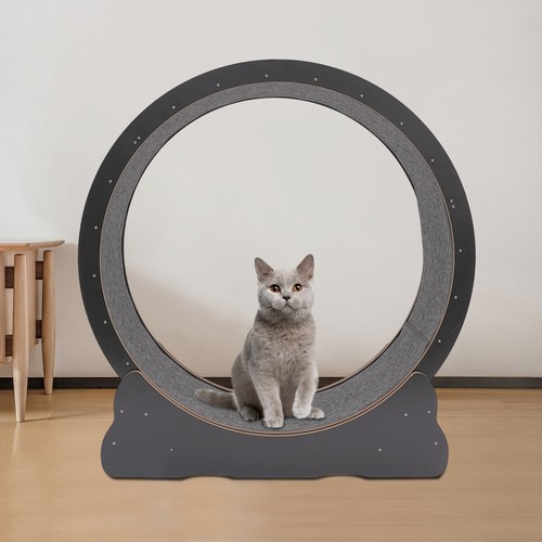 Modern cat wheel round - round,