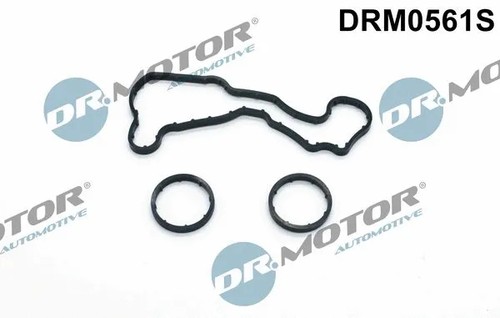 Seal oil cooler - seal, vw
