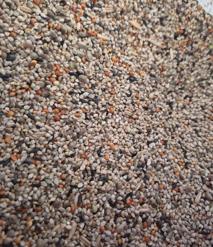 750g quail feed seed mix - mix,