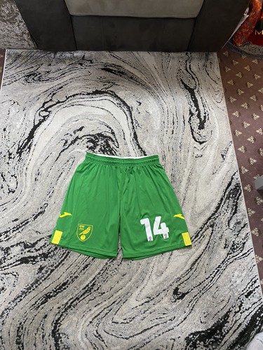 Norwich city match worn - match,