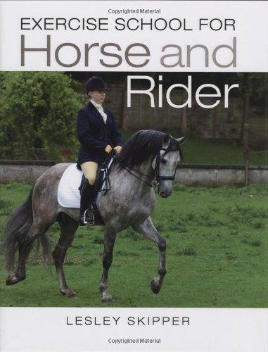 Exercise school for horse and - exercise,