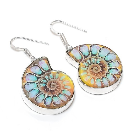 Natural ammonite fossil - natural,