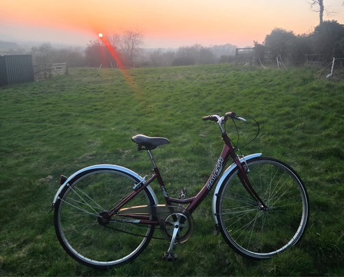 Red raleigh ladies bike used - red,