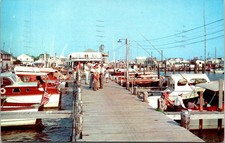 Beach Haven Yacht Club Fishing