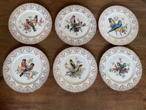 Decorative bone china - , bird