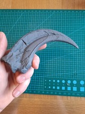 Lifesize Utah Raptor Fossil