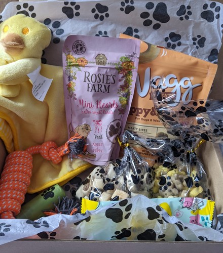 Puppy snuggle blanket and toys - snuggle,