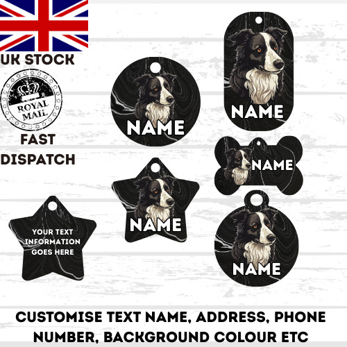 Border collie dog pet - collie,