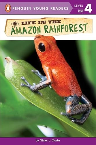Life the amazon rainforest - amazon,