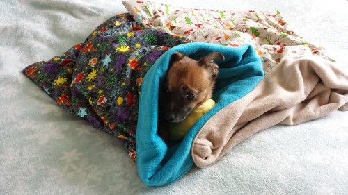 Snuggle sack bed bag - , blanket