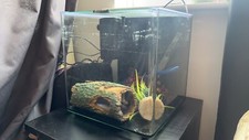 fish tank 22l aqua one