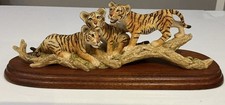 BORDER FINE ARTS, TIGER CUBS