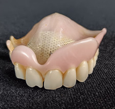 Genuine Real Top Denture for Model Making