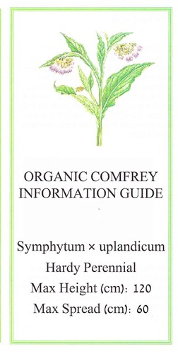 Organic comfrey roots bocking - organic,