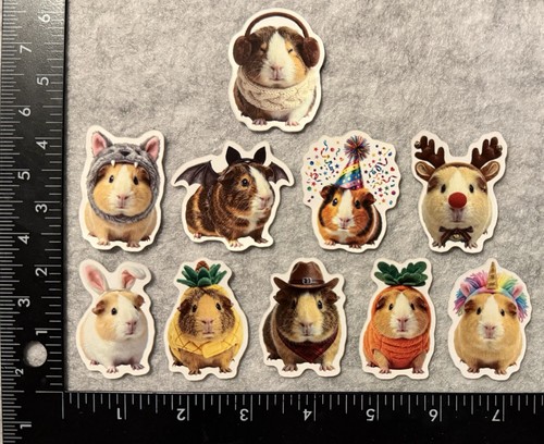 Lot assorted guinea pig - 10,