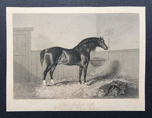 Antique 1845 print horse - horse,