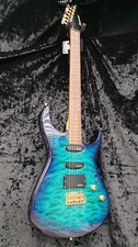FERNANDES FGZ-420 Electric