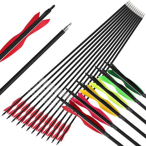 12x archery carbon arrows - archery,
