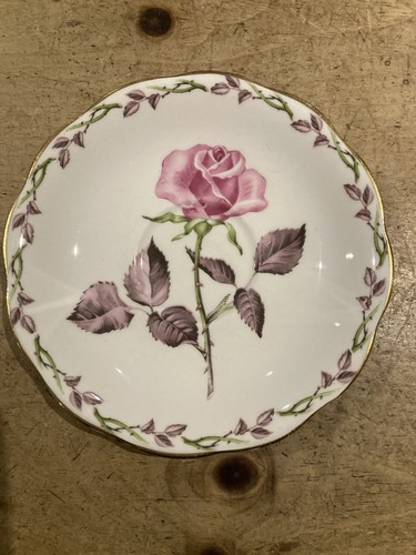 Royal standard rose - standard, marie