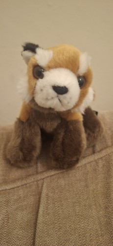 Wild cat red - wild, toy