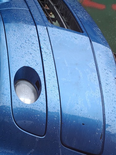 Bumper trim covers front - trim, left