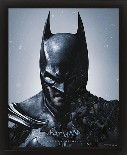 Batman arkham official framed - arkham,