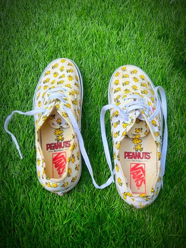 Vans authentic peanuts - vans,