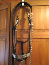 circle y  Silver Alpaca Mexico horse  Show Halter & lead dark oil leather  Y619H
