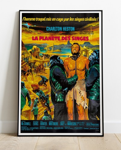 Planet the apes photo - apes,