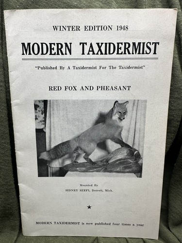 Modern taxidermist winter - -,