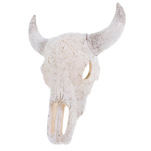 Bull cow skull - cow,