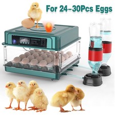 36x eggs fully automatic - eggs,