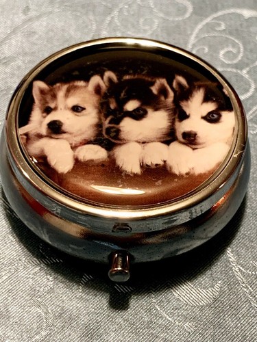 Siberian husky puppies - siberian, puppies~tiny