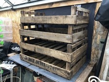 Vintage Fruit Crates Potato Chitting Trays