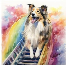 Watercolor Rough Collie Pet