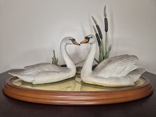 Border Fine Arts Reflections