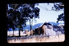 Kodachrome 35mm Color Film