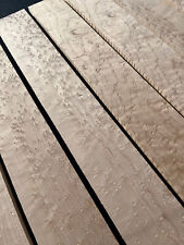 BIRDSEYE MAPLE acoustic /