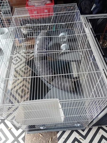 Donated new large ferplast - large,