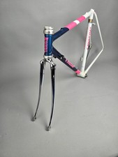Frame set Francesco Moser