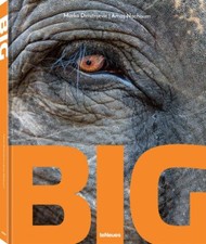 Big A Photographic Album of the World's Largest Animals