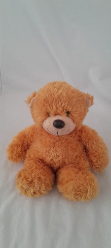 Aurora bonnie honey teddy bear
