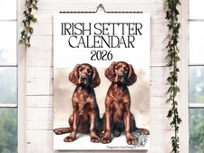Irish Setter Calendar 2026-Dog
