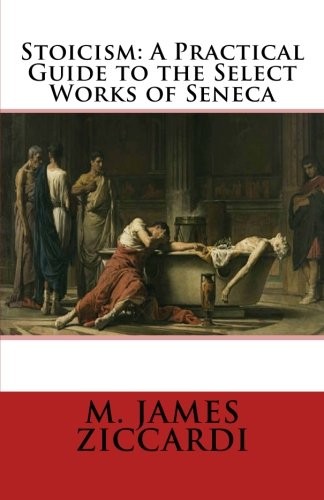 Stoicism practical guide - stoicism:,