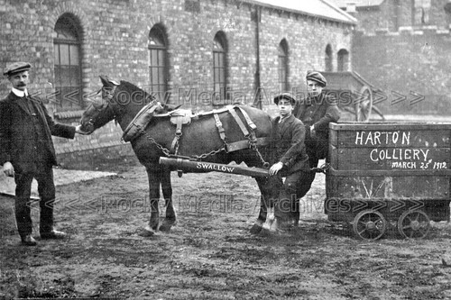 Jgg social history - jgg-33, history,