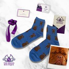 DOGUE DE BORDEAUX SOCKS X 2