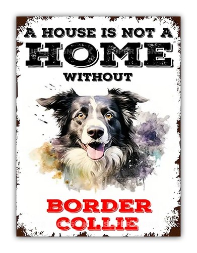 Border collie aluminium - collie, metal