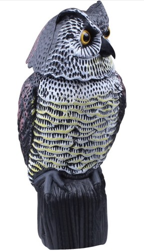 Plastic owl decoy figure - decoy,